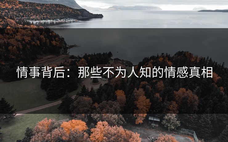 情事背后：那些不为人知的情感真相