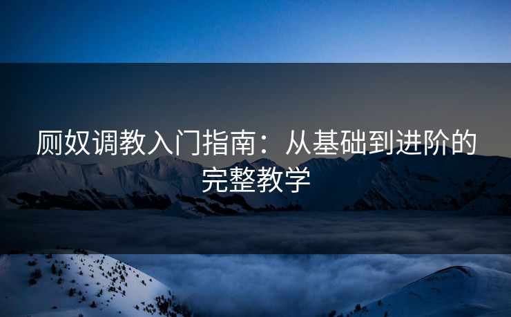 厕奴调教入门指南：从基础到进阶的完整教学