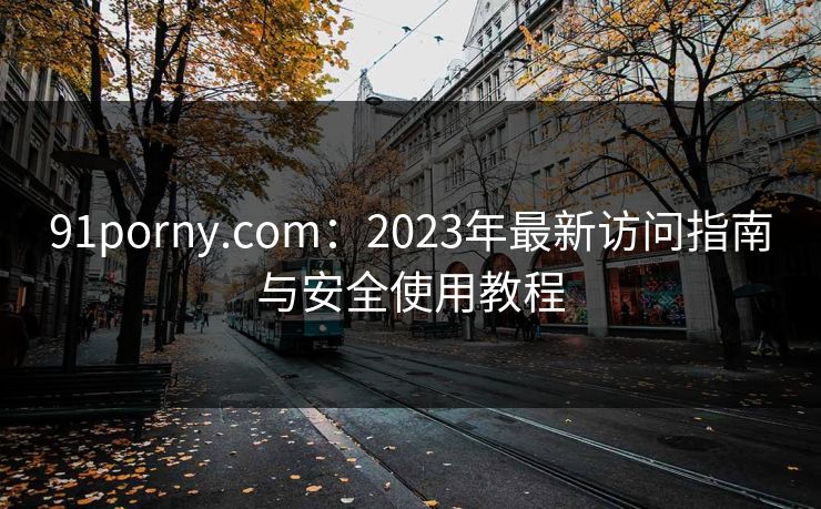 91porny.com：2023年最新访问指南与安全使用教程  第1张
