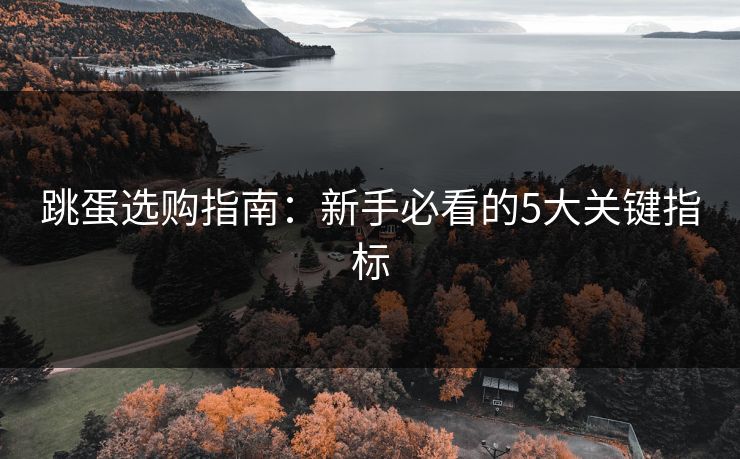 跳蛋选购指南：新手必看的5大关键指标