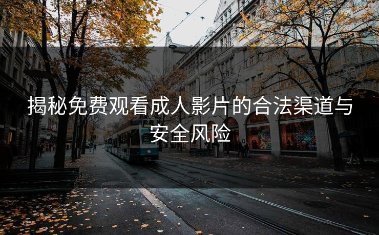 揭秘免费观看成人影片的合法渠道与安全风险  第1张
